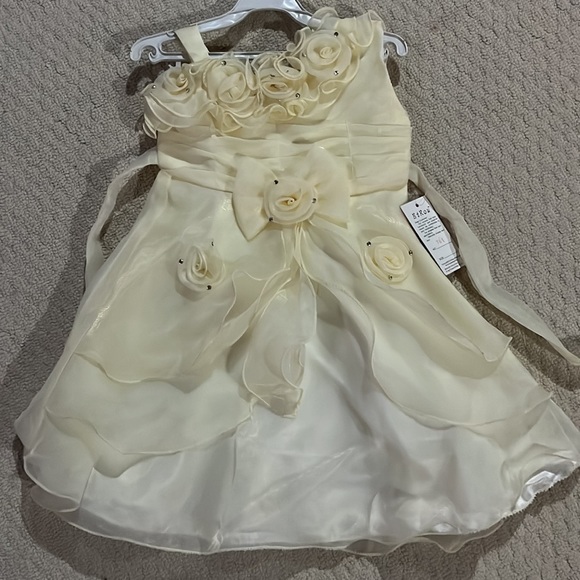 Party dress bundle of 6 formal dresses-for age 1 to size 4T - Picture 4 of 6